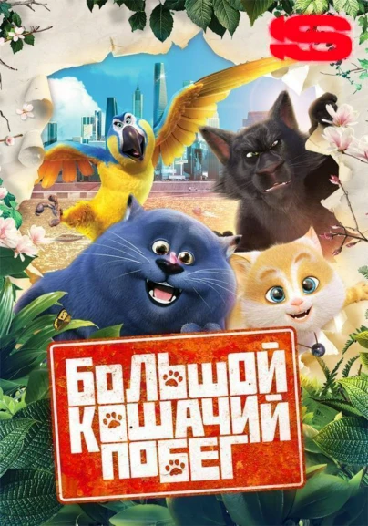 Большой кошачий побег