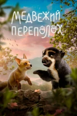 Медвежий переполох