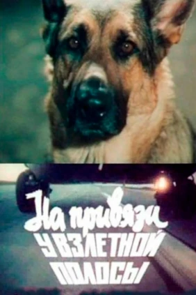 На привязи у взлётной полосы
