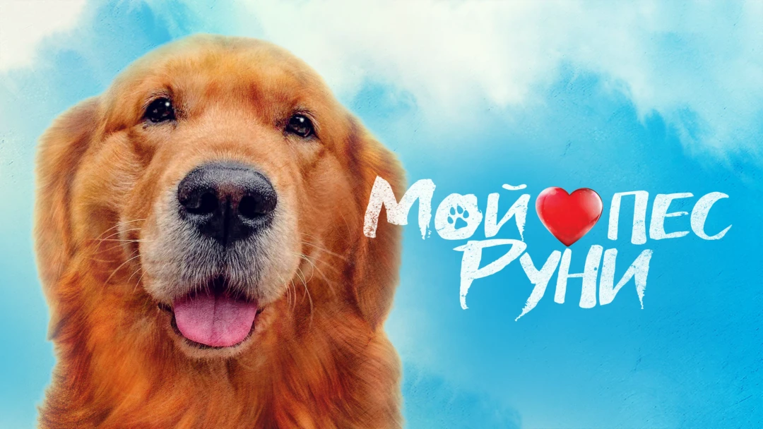 Фильм Мой пес Руни