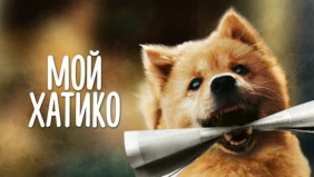 Трейлер 1