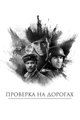 Проверка на дорогах