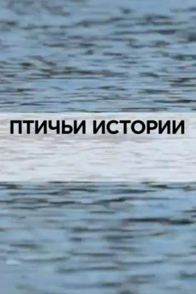 Птичьи истории