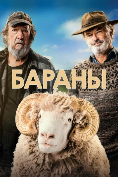 Бараны