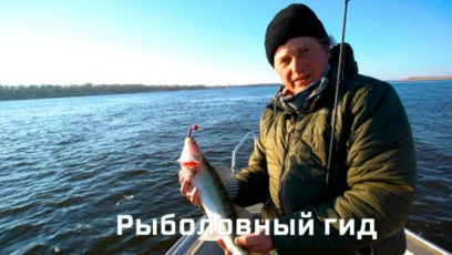 Щука и судак под Саратовом