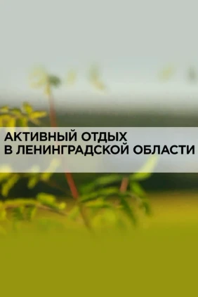 Активный отдых в Ленинградской области