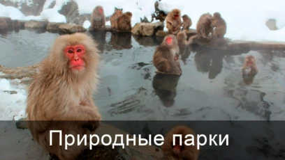 Асо-Кудзю. Япония