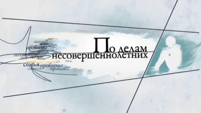 1193-я серия