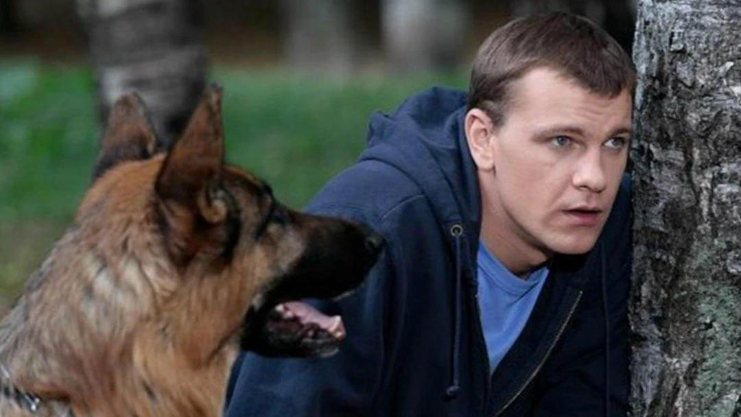 Сериал Возвращение Мухтара