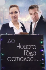 До Нового года осталось…