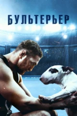 Бультерьер
