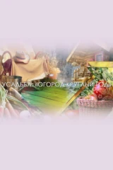 Огород круглый год