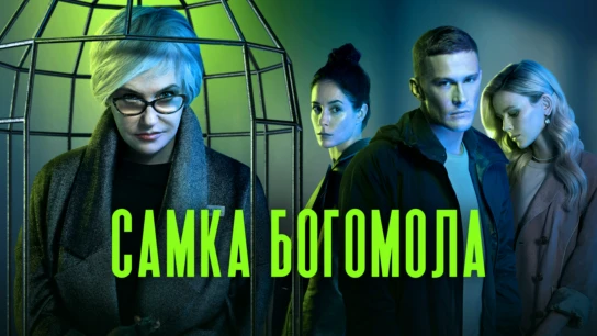 Самка богомола