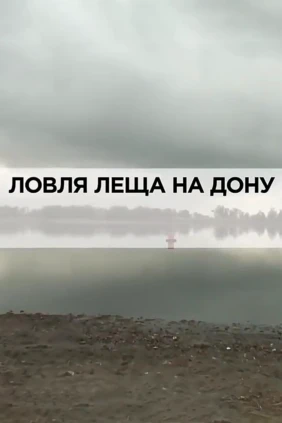 Ловля леща на Дону