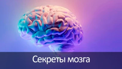 1-я серия