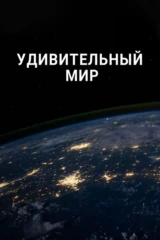 Удивительный мир