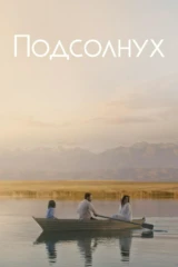 Подсолнух