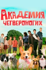 Академия четвероногих