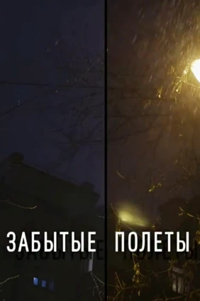 Забытые полёты
