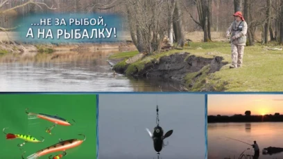 Ходовая ловля впроводку весной