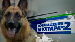 1-я серия