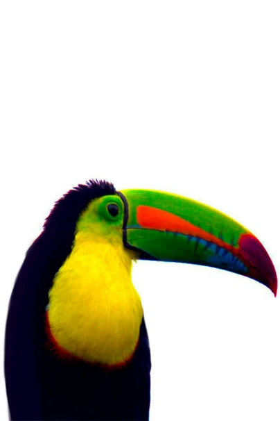 Самцы