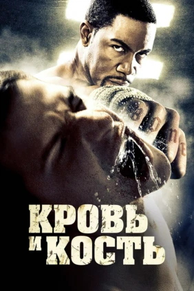 Кровь и кость