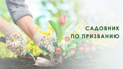 2-я серия