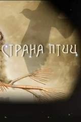Страна птиц
