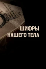Шифры нашего тела