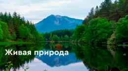 Водопады. Красота и сила стихии