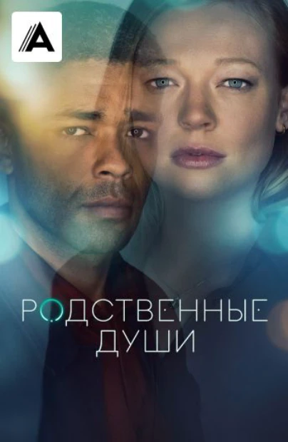 Родственные души