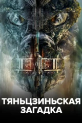 Тяньцзиньская загадка