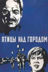 Птицы над городом