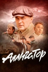 Аллигатор