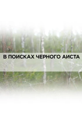 В поисках чёрного аиста