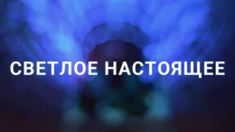 Крылатка – морской пришелец