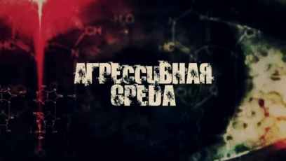Звук