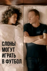 Слоны могут играть в футбол