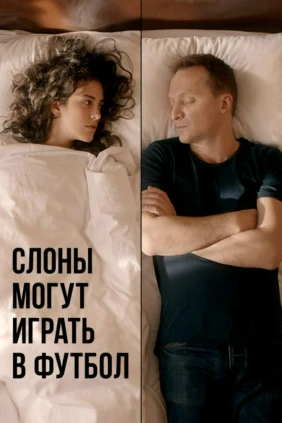 Слоны могут играть в футбол