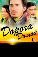 Дорога домой