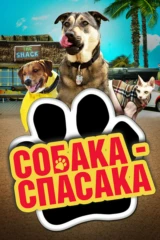 Собака-спасака