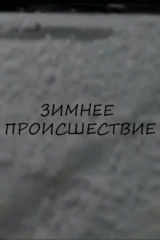 Зимнее происшествие