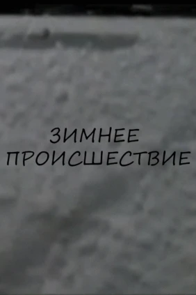 Зимнее происшествие