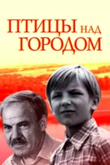 Птицы над городом