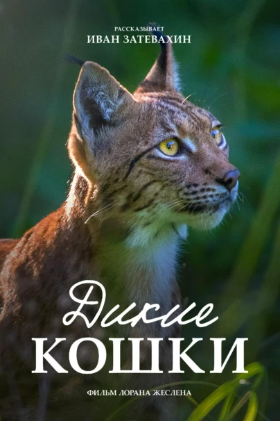 Дикие кошки