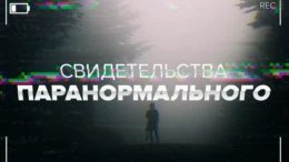 1-я серия