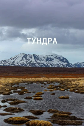 Тундра