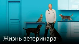 1-я серия