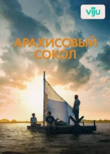 Арахисовый сокол